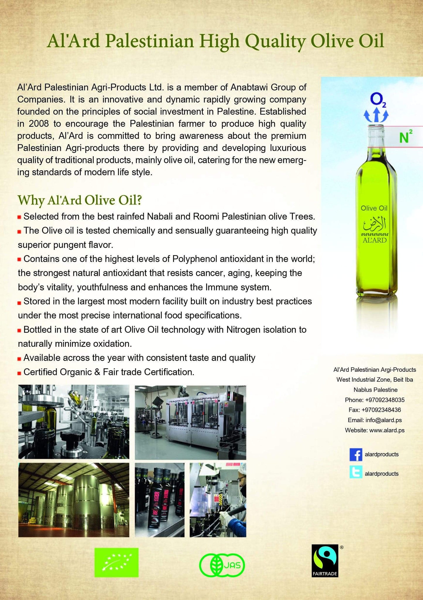 Extra Virgin Olive Oil - 500mL/16.9fl oz (NEW Harvest 2023/2024)